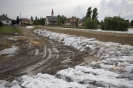 2013_arviz_62