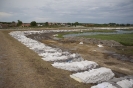 2013_arviz_63