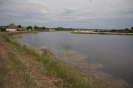 2013_arviz_67