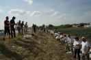 2013_arviz_77