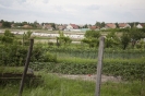 2013_arviz_7