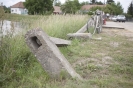 2013_arviz_87