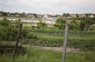2013_arviz_8
