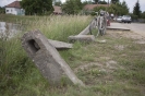 2013_arviz_93