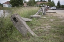 2013_arviz_94