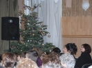2013_falukaracsony_10
