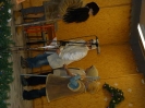 2013_falukaracsony_32