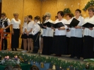 2013_falukaracsony_51
