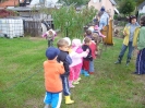 csana_2010_szolo_33