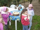 csana_2010_szolo_4