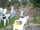 csana_2010_szolo_7
