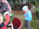 csana_2010_szolo_8