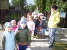 csana_2010_szolo_90