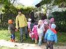 csana_2010_szolo_93