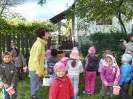 csana_2010_szolo_94