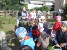 csana_2010_szolo_95