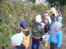 csana_2010_szolo_98
